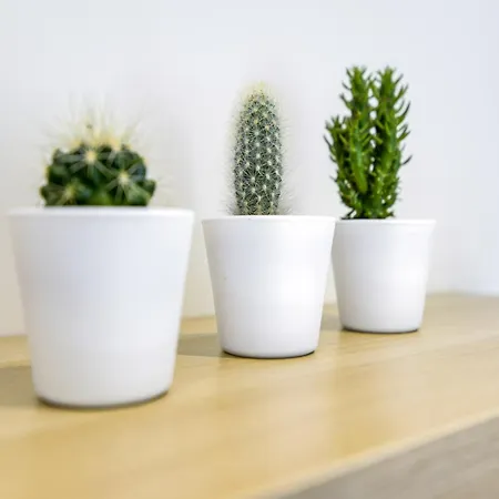 In Fays With Garden Casa vacanze *