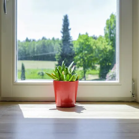 In Fays With Garden *